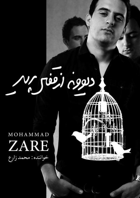 «دیوونه از قفس پرید» با صدای محمد زارع منتشر می‌شود