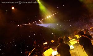 گزارش تصویری از کنسرت رضا صادقی در برج میلاد تهران - 2