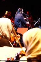 گزارش تصویری از کنسرت رضا صادقی در برج میلاد - 2