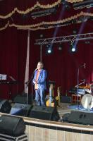 اولین کنسرت رسمی «حامد محضرنیا» در شهرستان «آمل» برگزار شد
